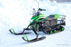dingo t150 2017 2